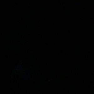 Meet your Posher, Maya